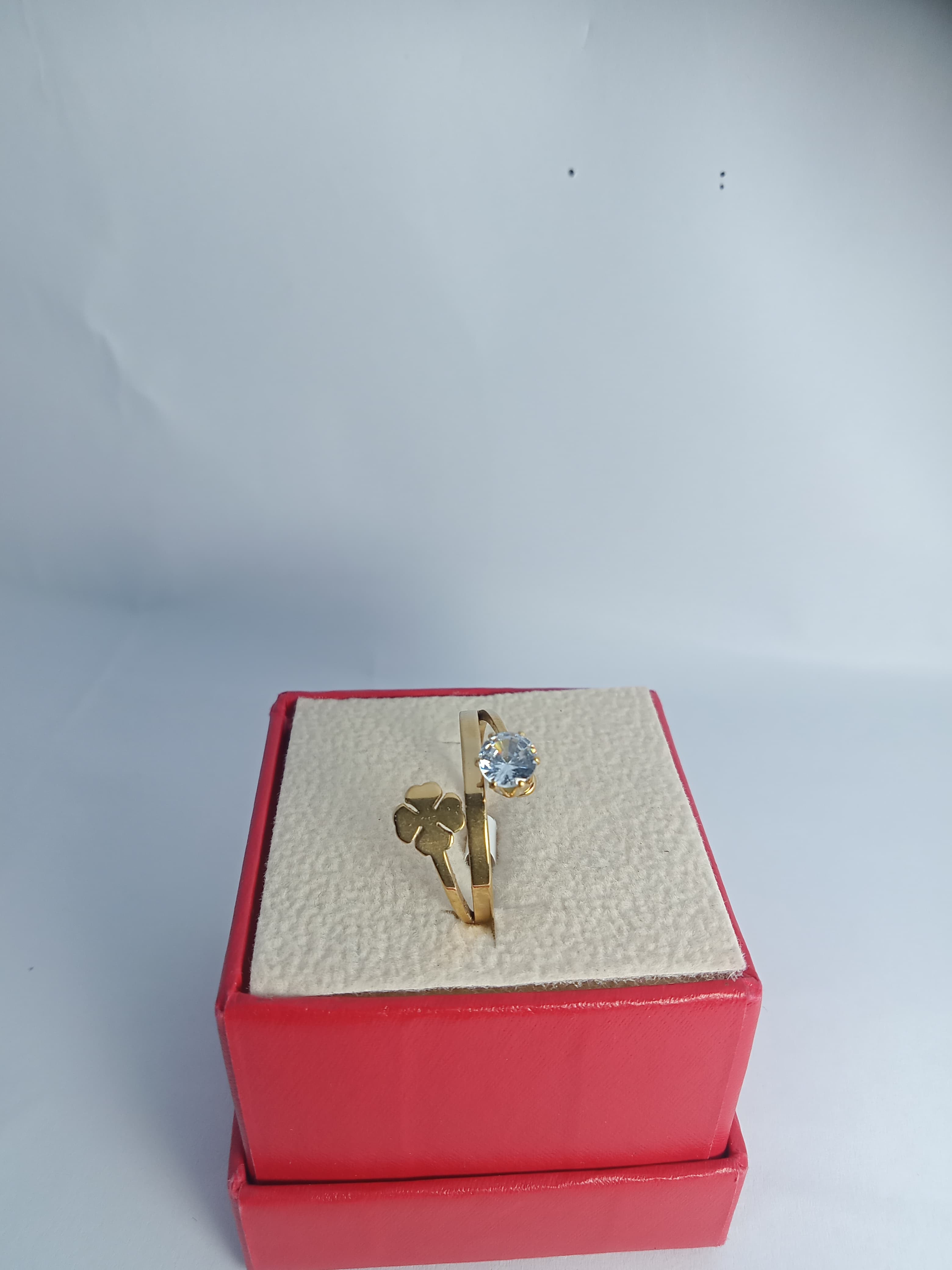 Stainless steel RING
