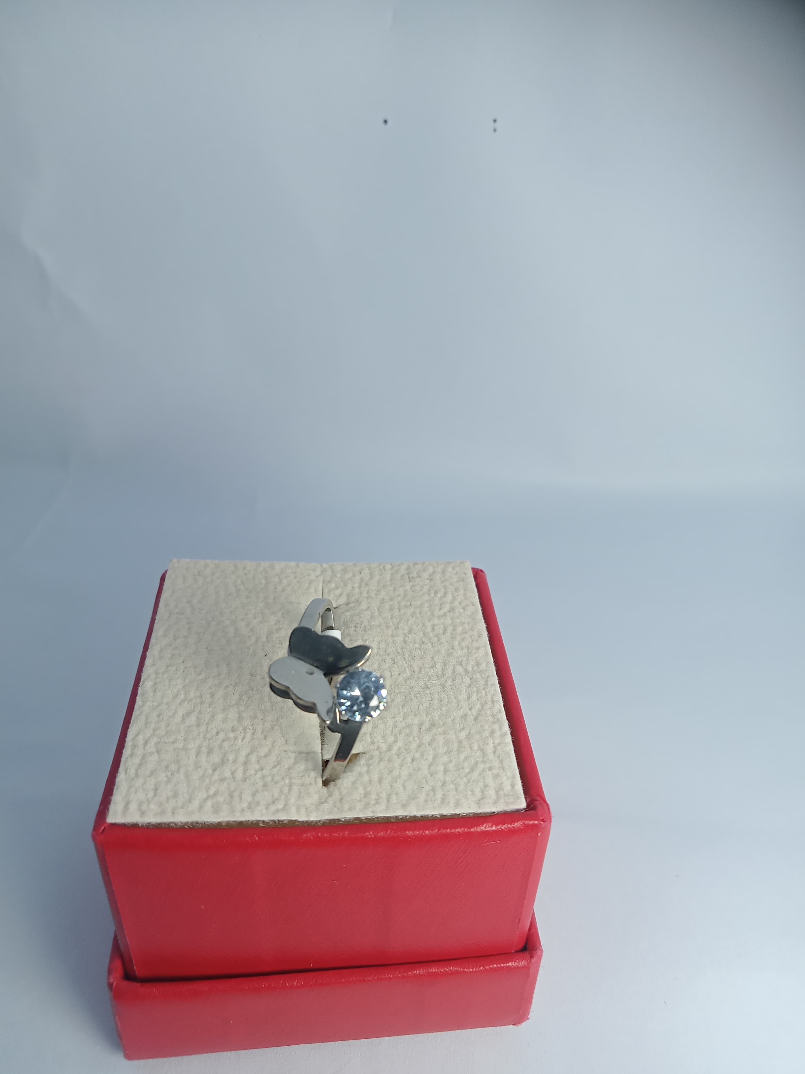 Stainless steel RING