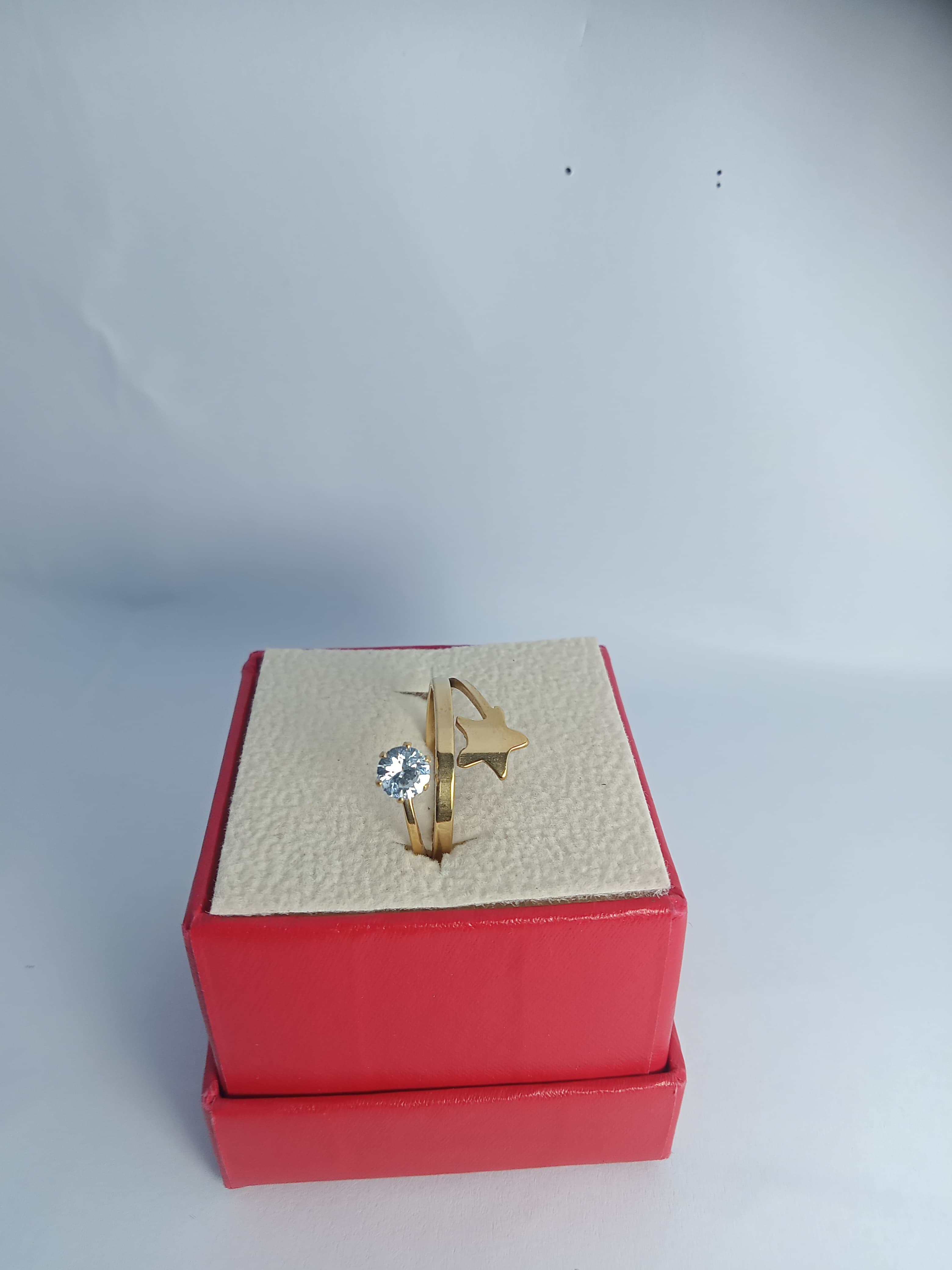Stainless steel RING