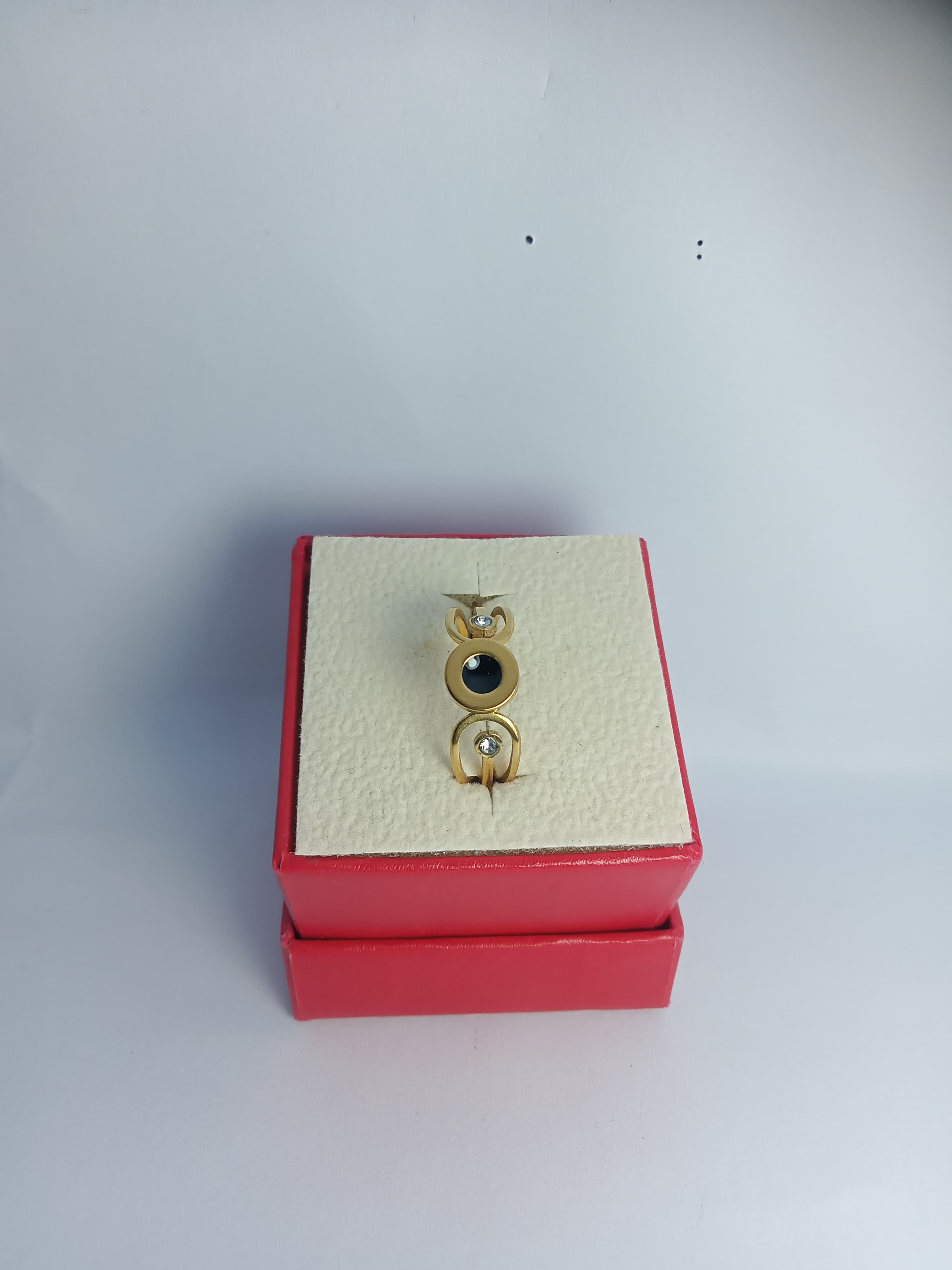 Stainless steel RING