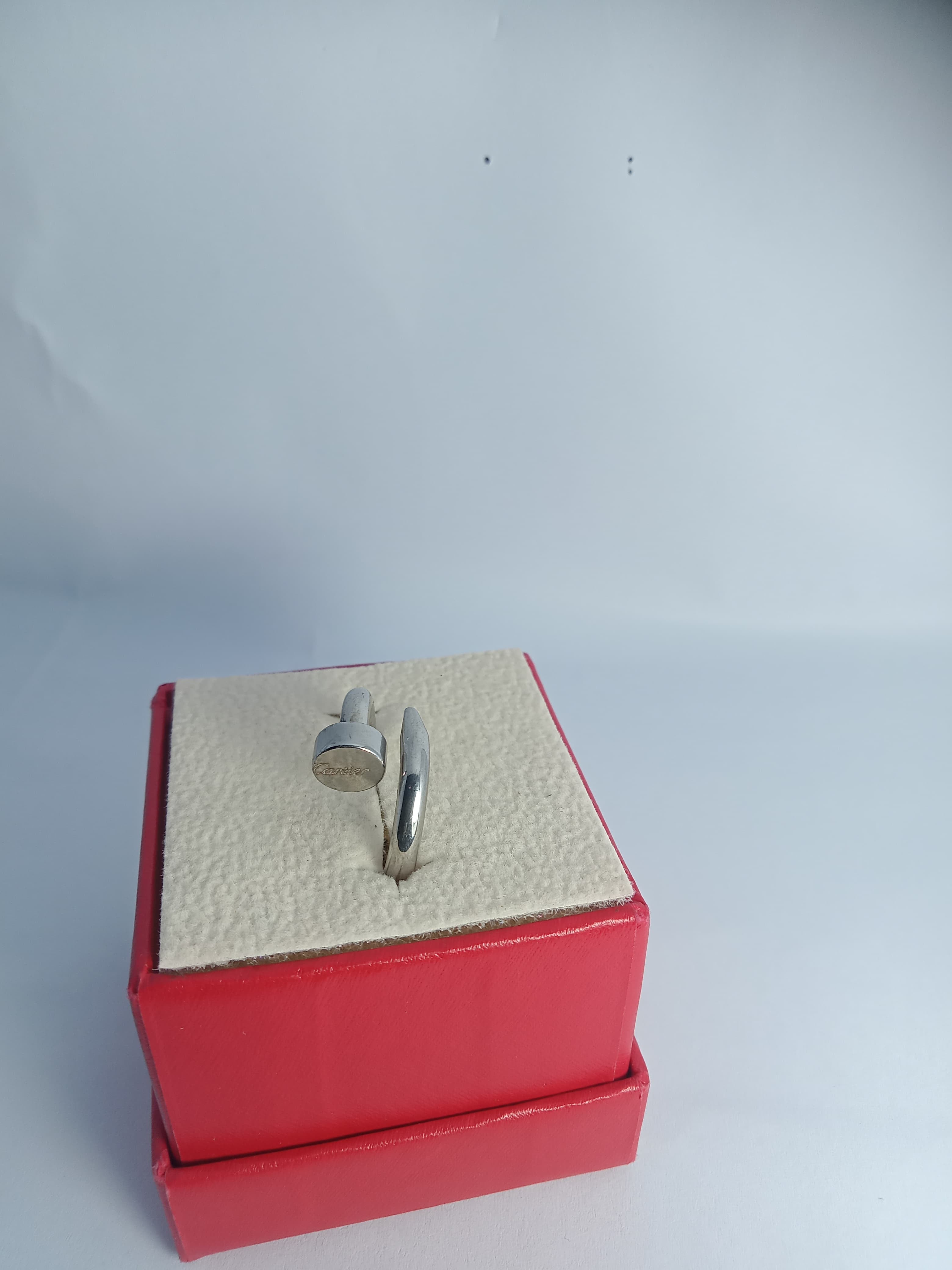 Stainless steel RING