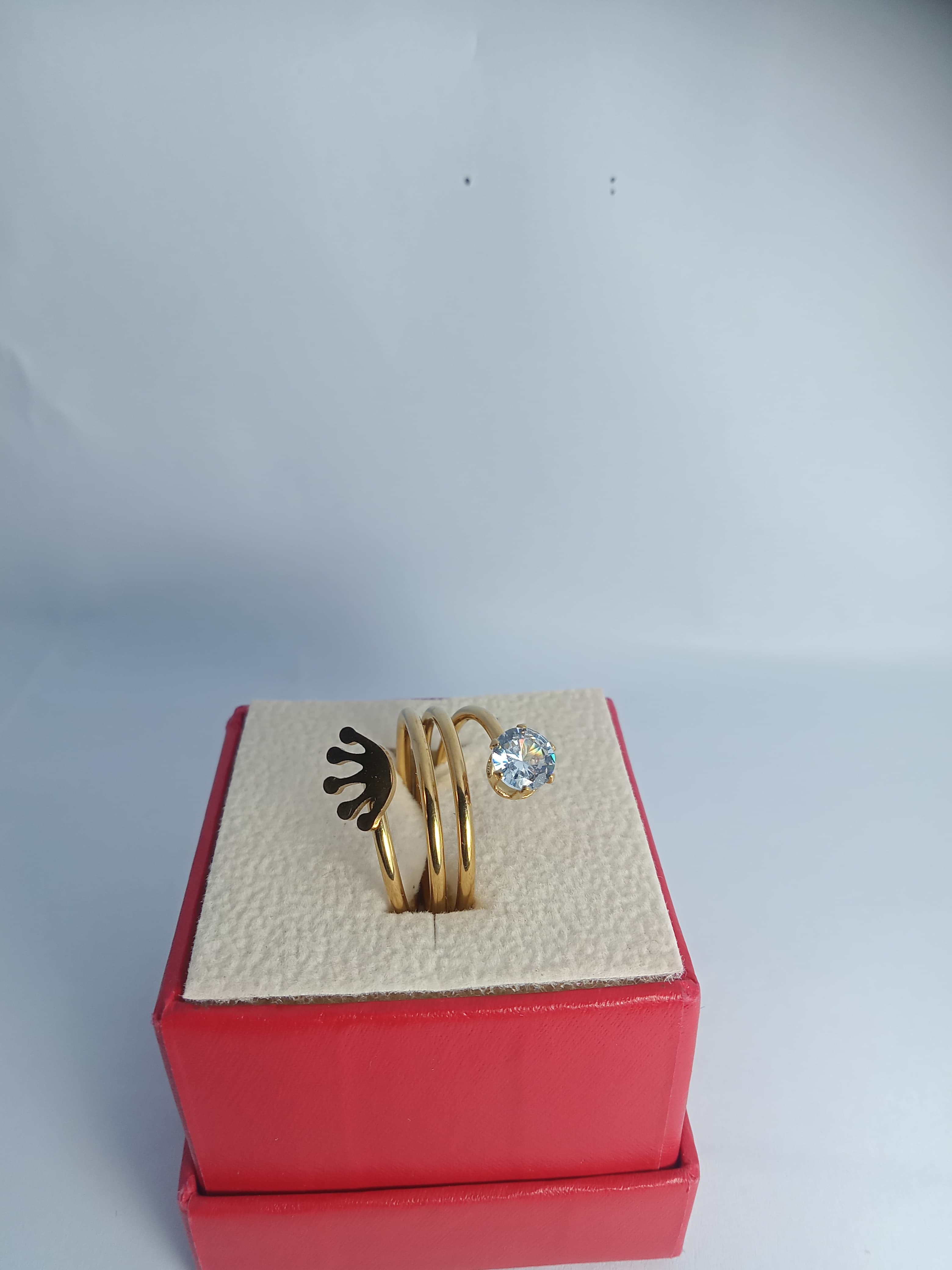 Stainless steel RING