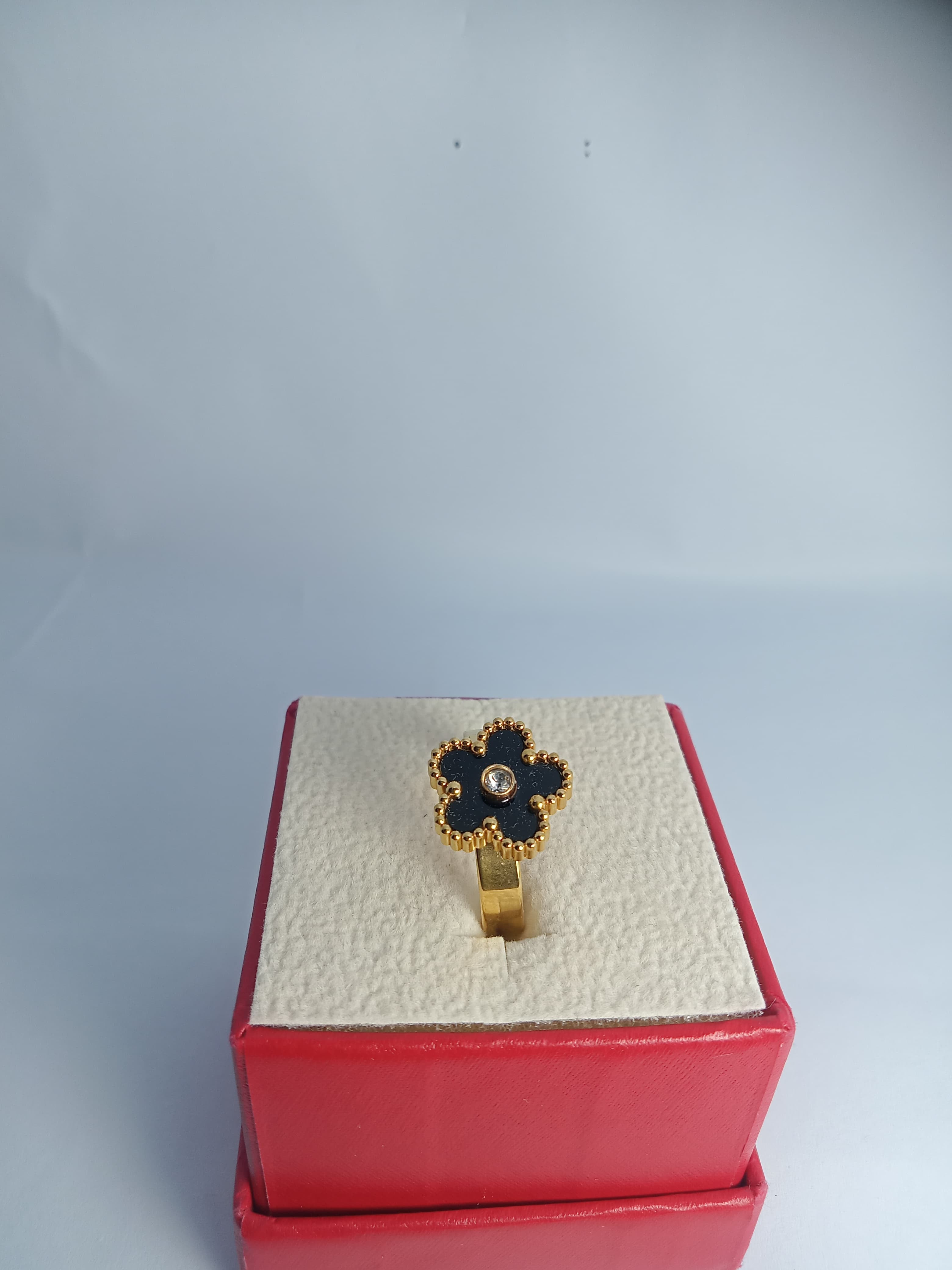 Stainless steel RING