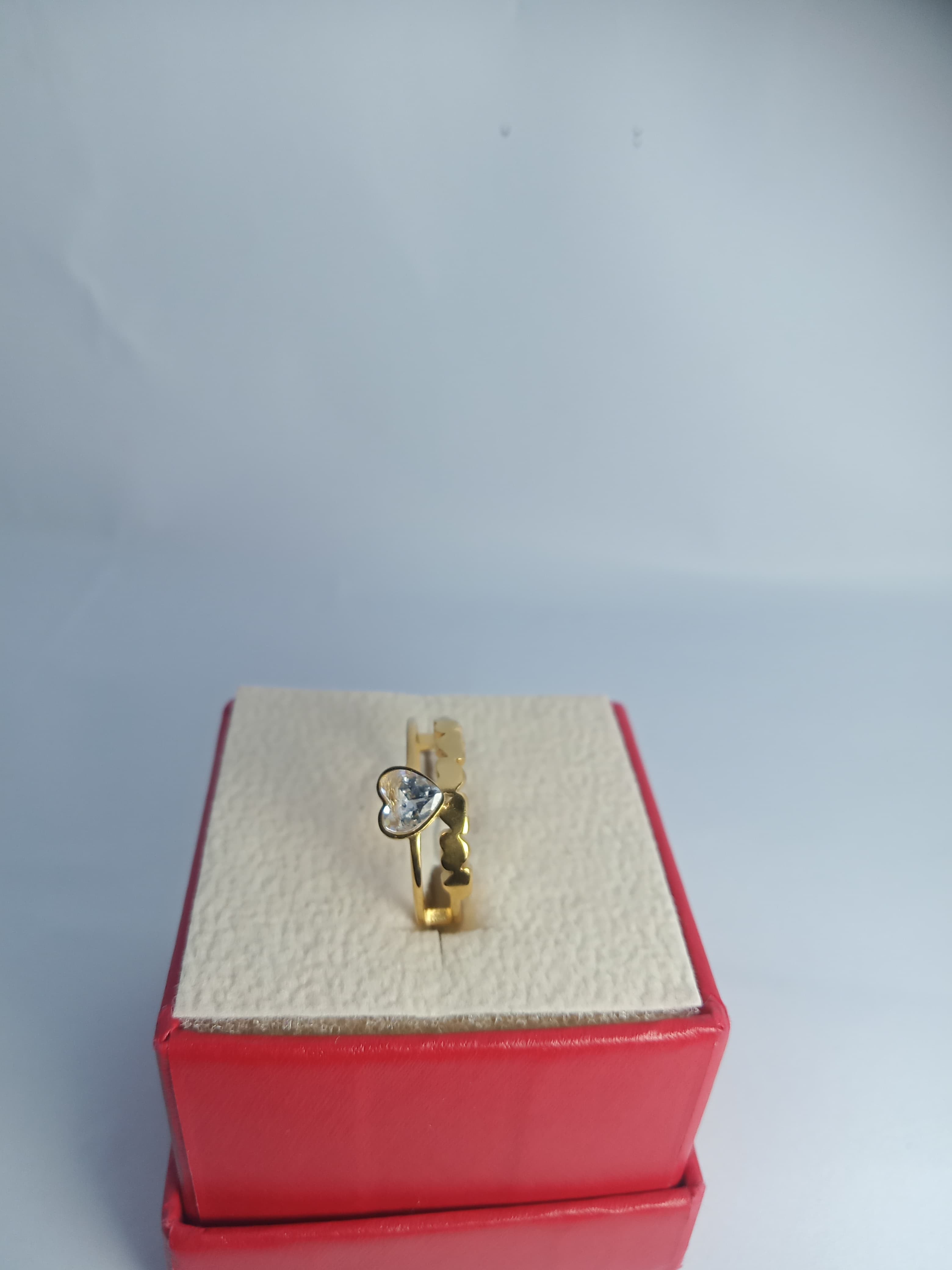 Stainless steel RING