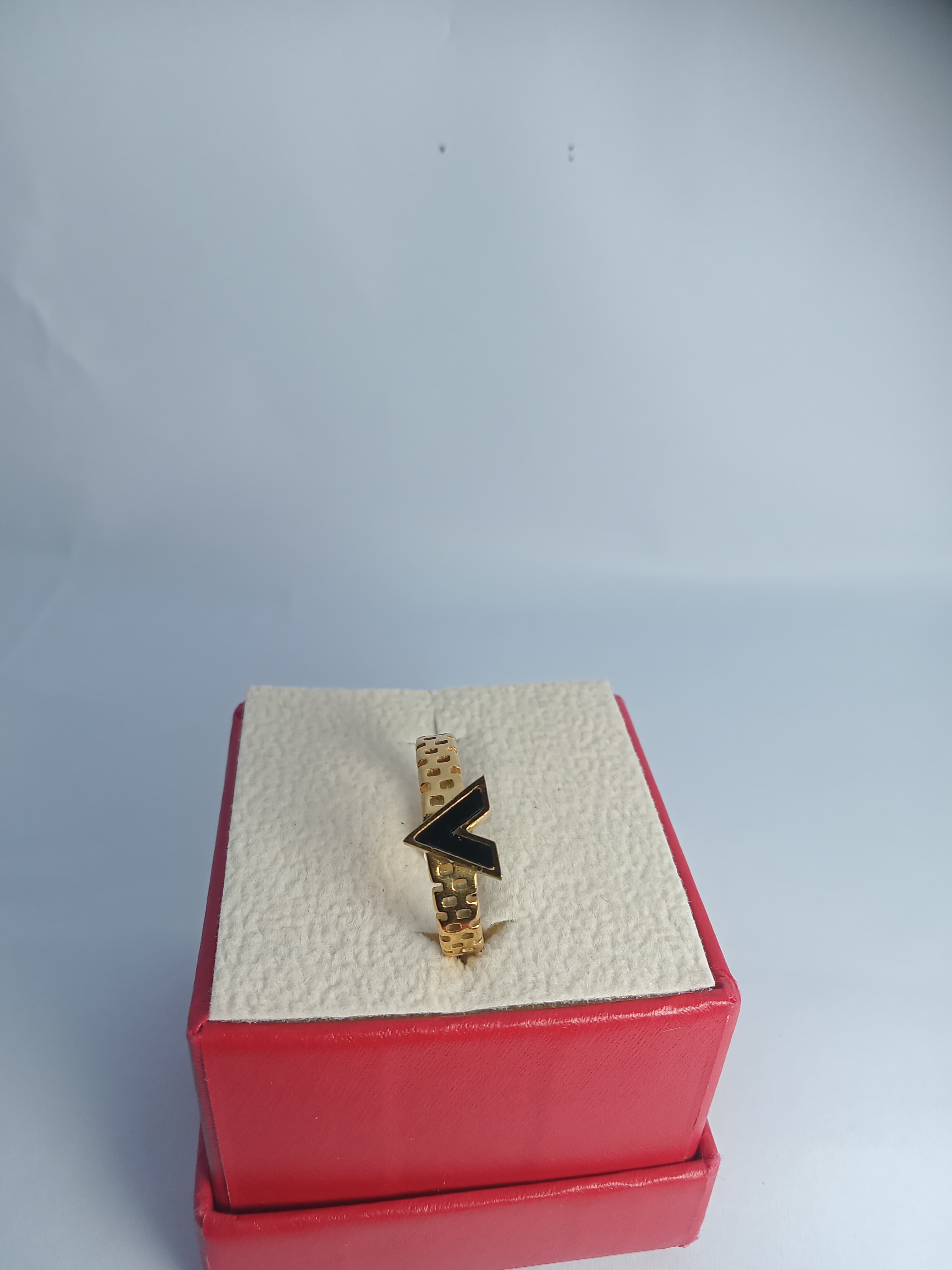 Stainless steel RING