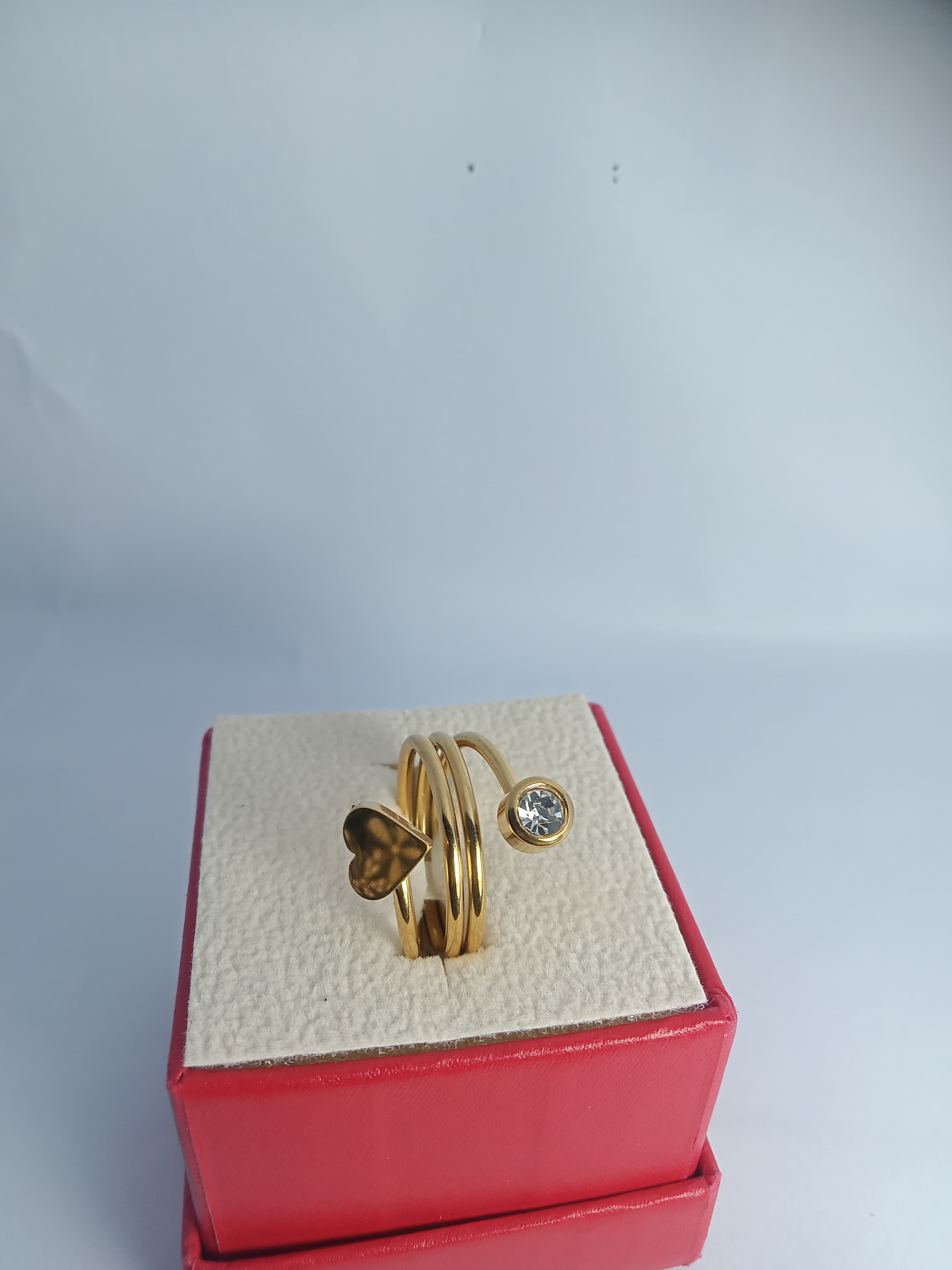 Stainless steel RING